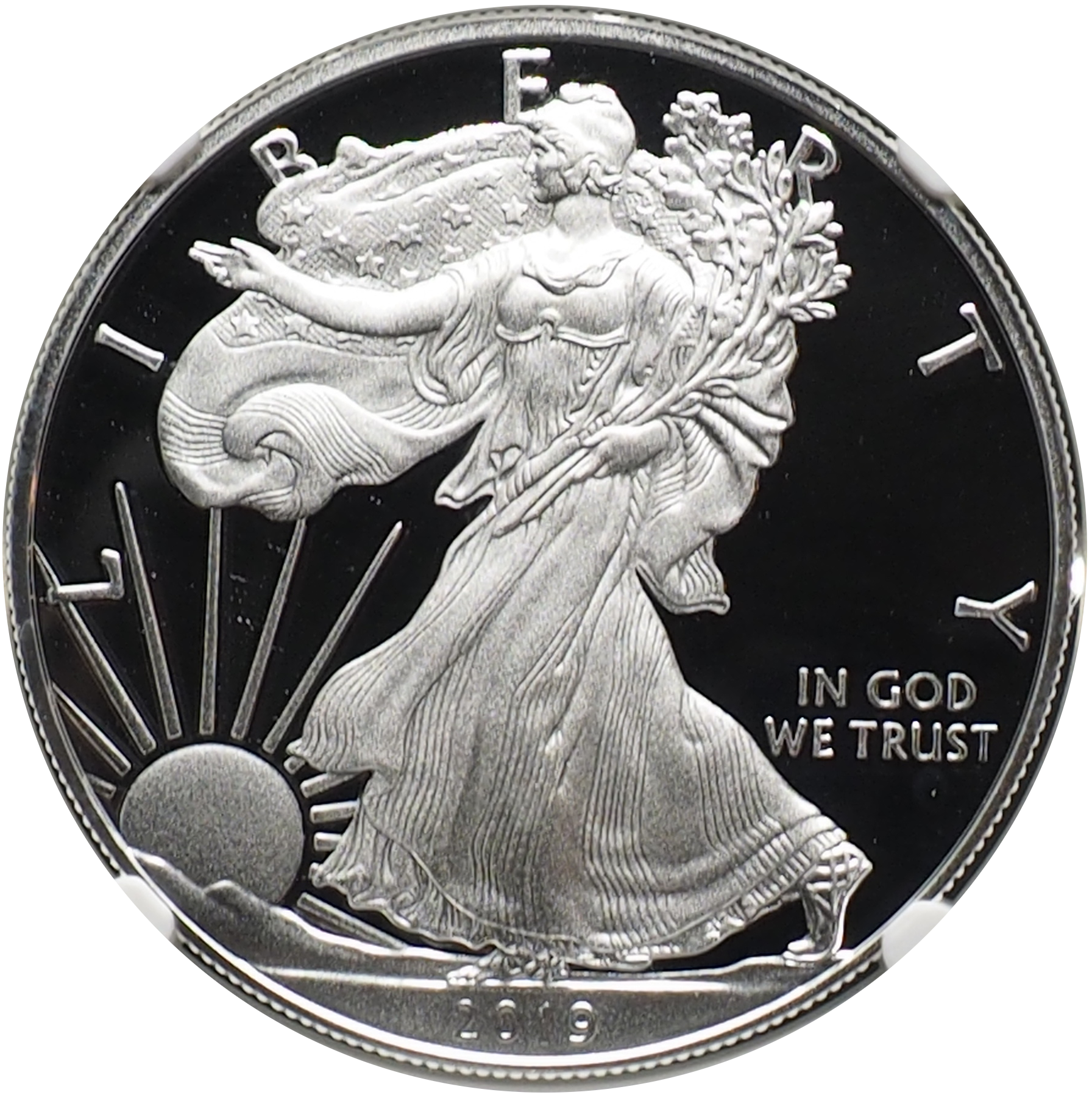 NGC American Silver Eagle $1 PF 70 ULTRA CAMEO One Dollar Coin – 2019 W